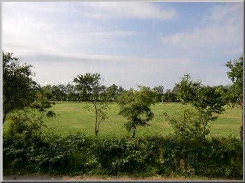 Ausblick aus der Leseecke über die Wiese