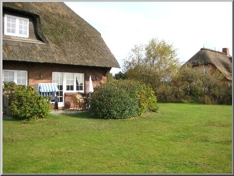 Blick zur Südterrasse