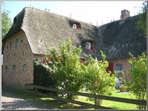 Blick zum sichtgeschützten Garten-/Terrassenbereich