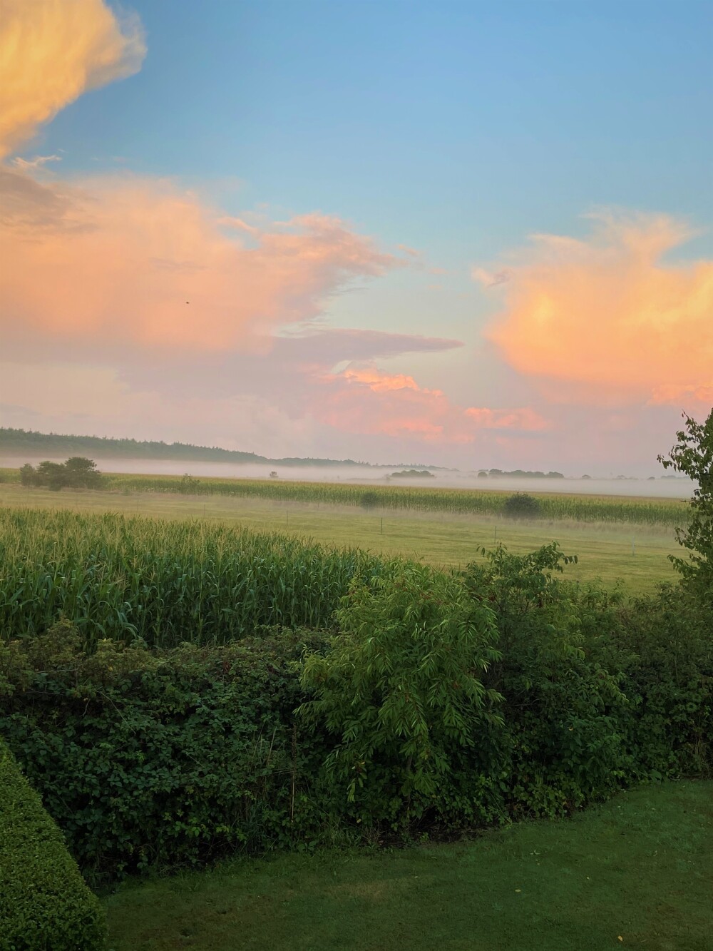 Schöne Morgenstimmung 