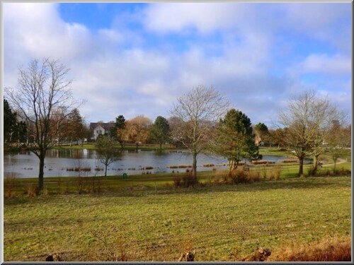 Herrlicher Ausblick auf den Dorfteich