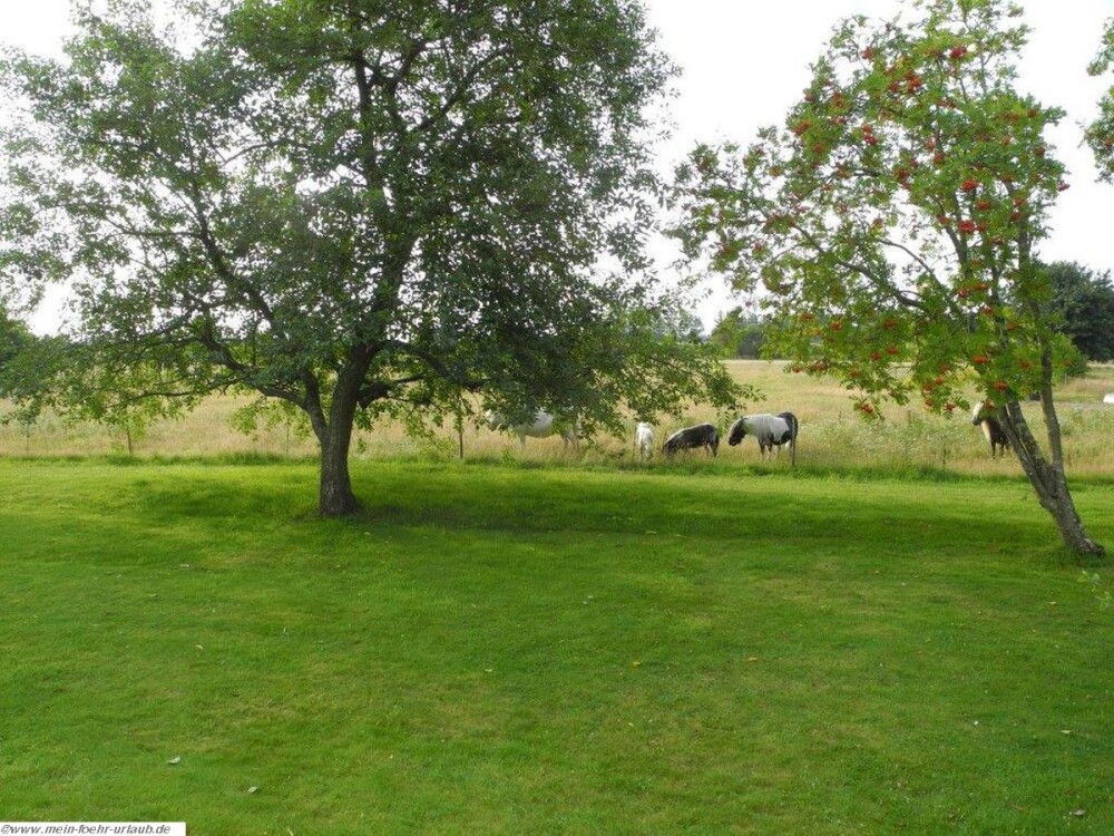 Großer Garten mit Blick auf angrenzende Wiesen