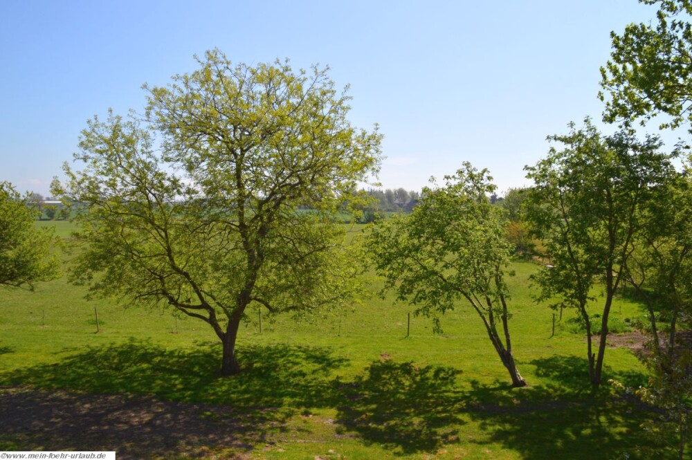 Herrlicher Ausblick vom Balkon auf die angrenzenden Wiesen