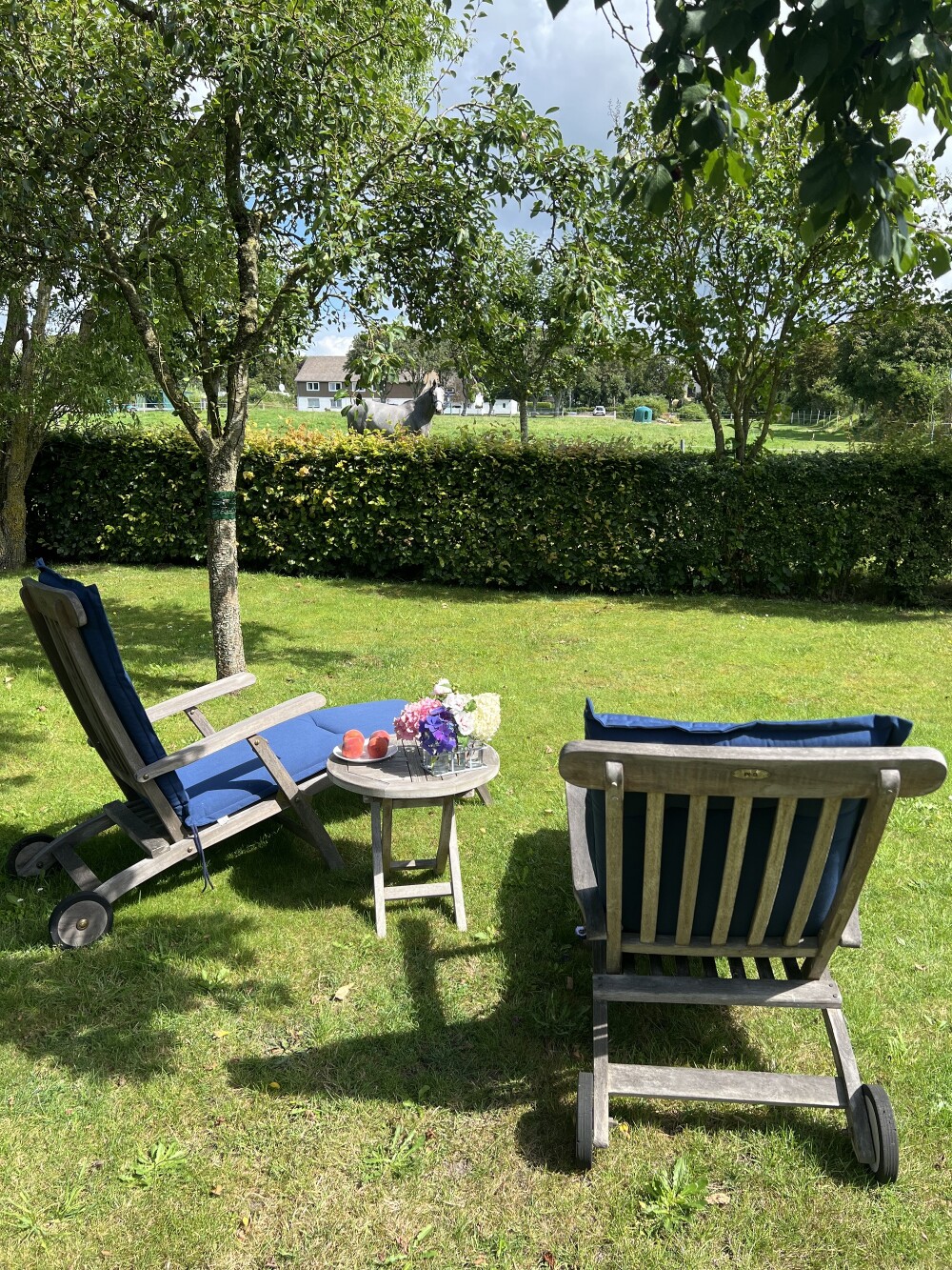 ebenfalls stehen Ihnen Gartenmöbel für Sie bereit