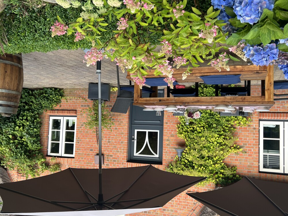 Sonniger und eingewachsener Garten auf der Südterasse