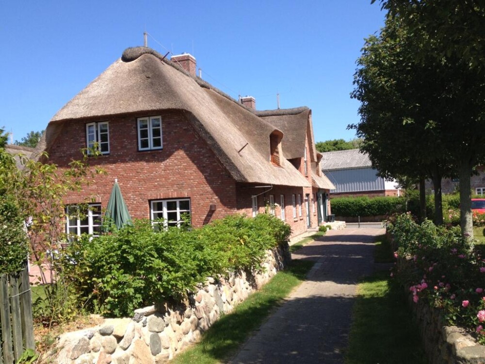 Blick über den Garten zum Haus 