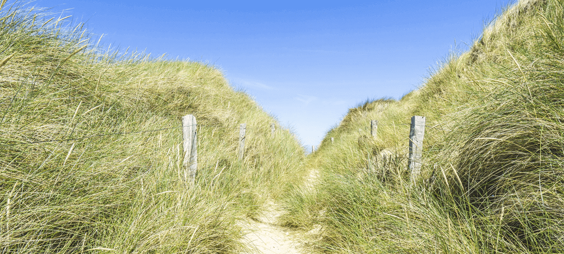 Föhr Feriendomizile Urlaub pur ...