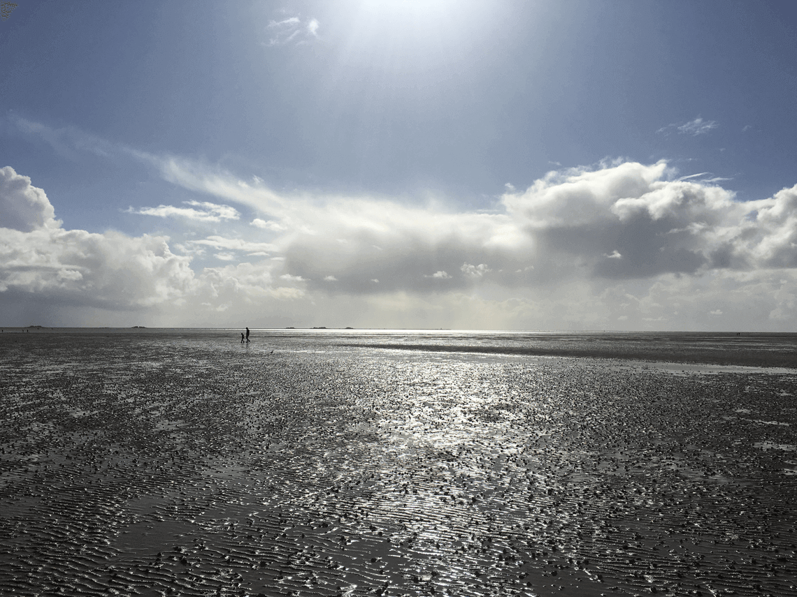 Vermieter werden auf Föhr